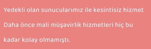 e-malimüşavir